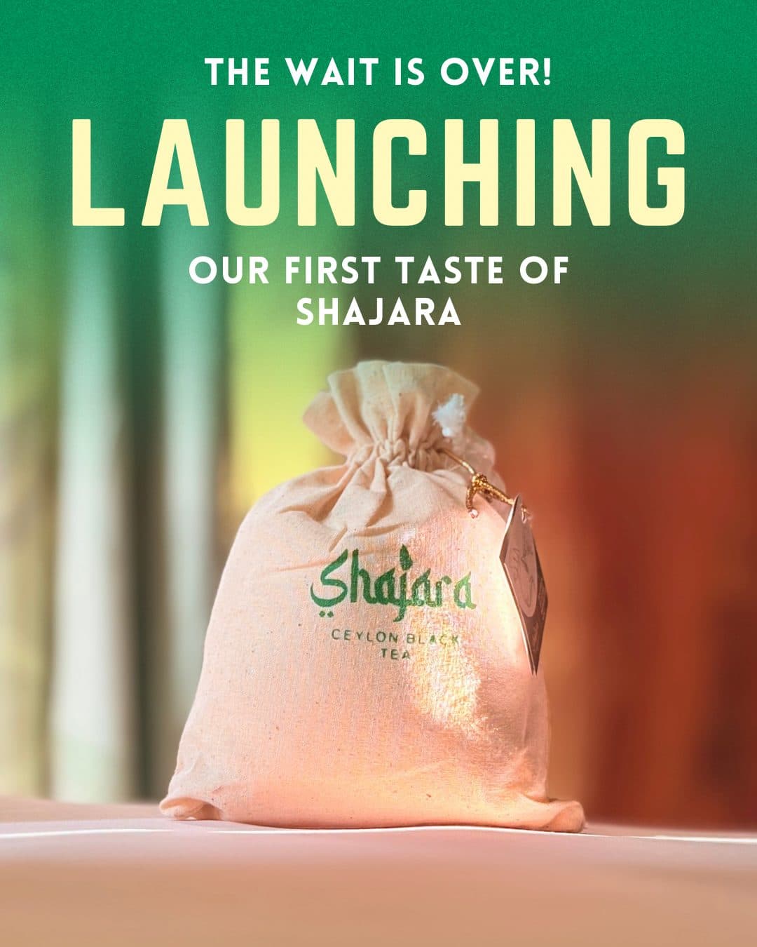 Shajara Tea — Launch post